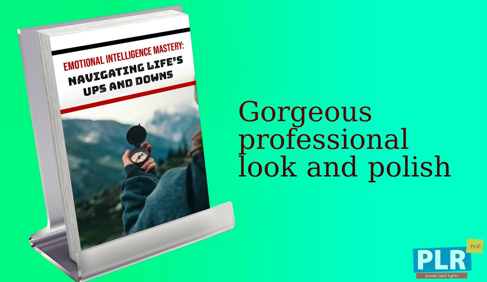 Emotional Intelligence Mastery